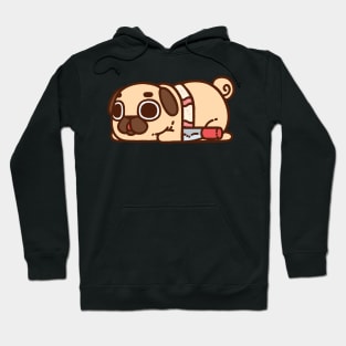 Actually Cake Puglie Hoodie